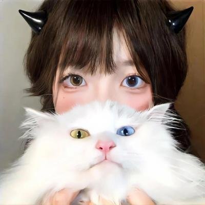 冒牌特工